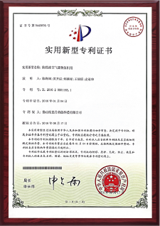patents (12)